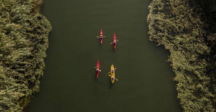Ebro Delta: Guided Kayak Tour to Gracia Island - Experience Highlights