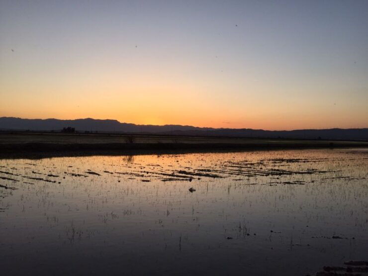 Ebro Delta: Lagoons of the Southern Delta Guided Tour - Experience Highlights