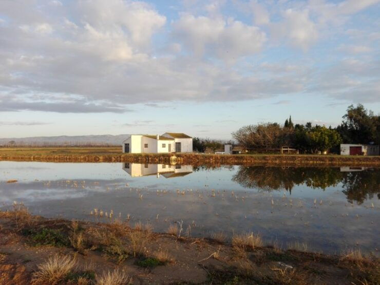 Ebro Delta: Northern Delta Guided Tour With a Local - Activity Details