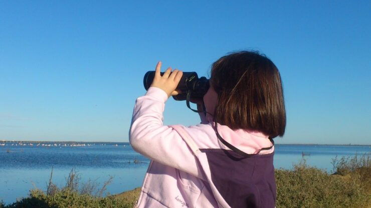 Ebro Delta: Northern Delta Guided Tour With a Local - Experience Highlights
