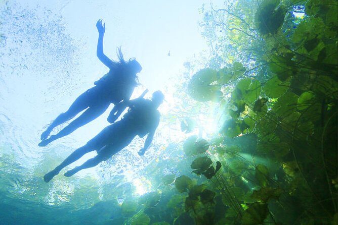 ECHANTING 2 Days excursion to 2 different ecoparks in RIVERA MAYA with transport - Introduction