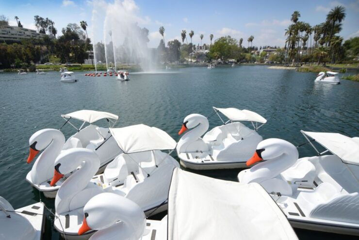Echo Park Lake: Swan Pedal Boat Rental - Booking Details