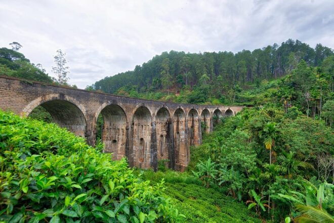 Echoes of Ella: A Journey Through Nature's Masterpieces - Diyaluma Falls