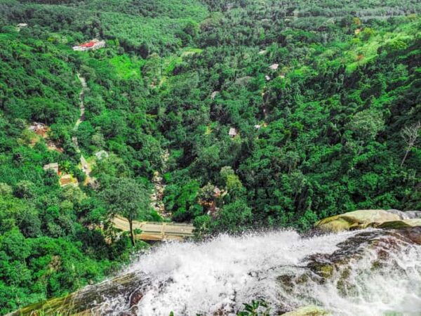 Echoes of Ella: A Journey Through Nature's Masterpieces - Nil Diya Pokuna