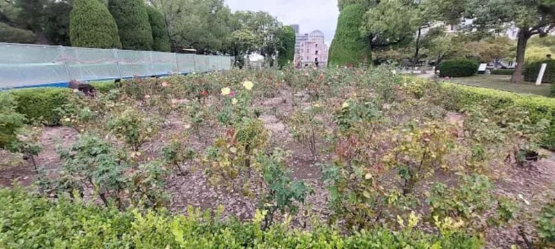 Echoes of Hope: Through Hiroshima Guided Walking Tour - A Guided Day Through Hiroshima’s Heart and History