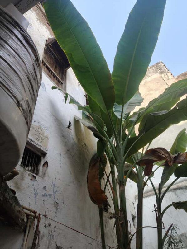 Echoes of Shahjahanabad: The Peoples Delhi - Religious and Historic Landmarks