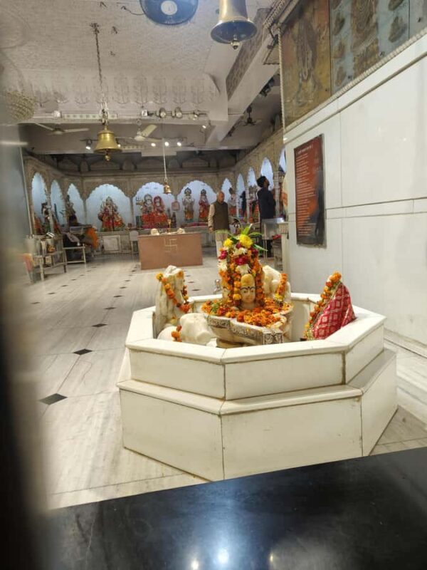 Echoes of Shahjahanabad: The Peoples Delhi - Who Is This Tour Best For?