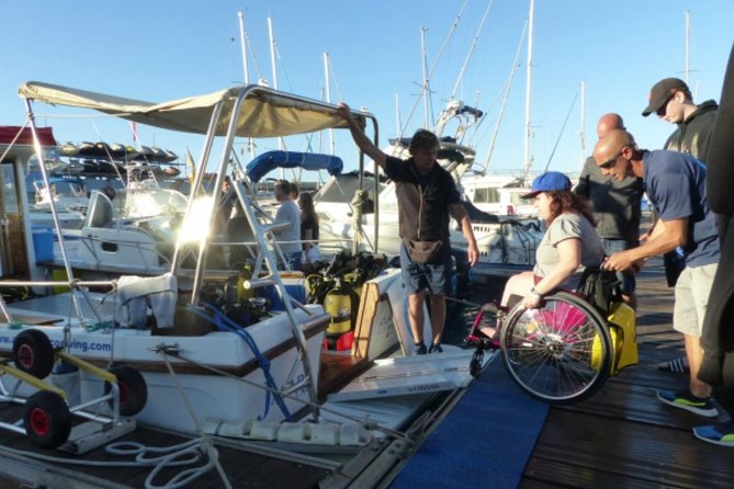 Eco Adapted Diving in Tenerife - Fauna and Conservation Explanation