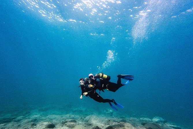 Eco Adapted Diving in Tenerife - Full Dive Experience Explanation