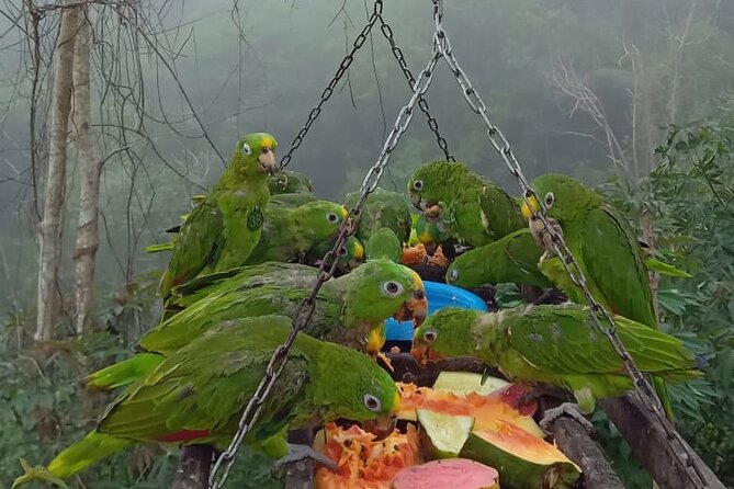 Eco Adventure and Volunteering at the Parrot Sanctuary in Bolivar - Location Details