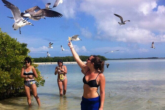 ECO-Adventure at Holbox Island and Cenote Yalahau from Cancun & Playa Del Carmen - Good To Know
