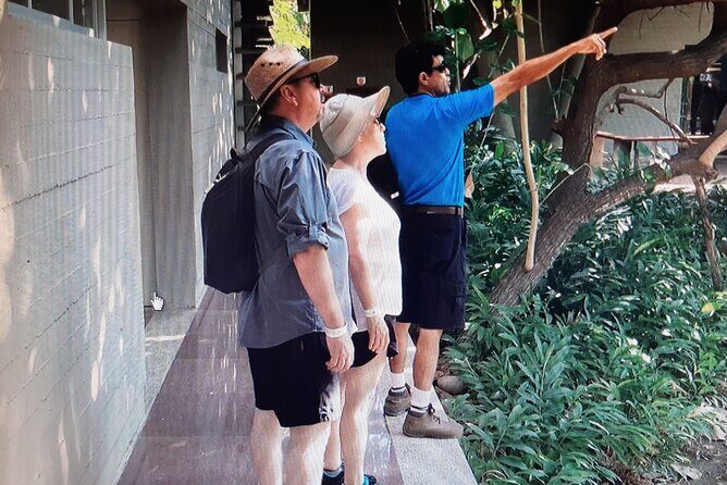 Eco Adventure in the Archaeological Area of Copalita - Who Is This Tour Best For?