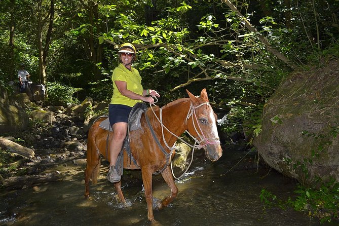 Eco-Adventure Park Premium Day Pass - Suitability for Visitors