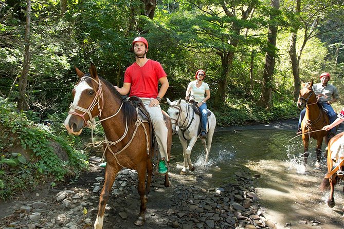 Eco-Adventure Park Premium Day Pass - Pricing and Reviews