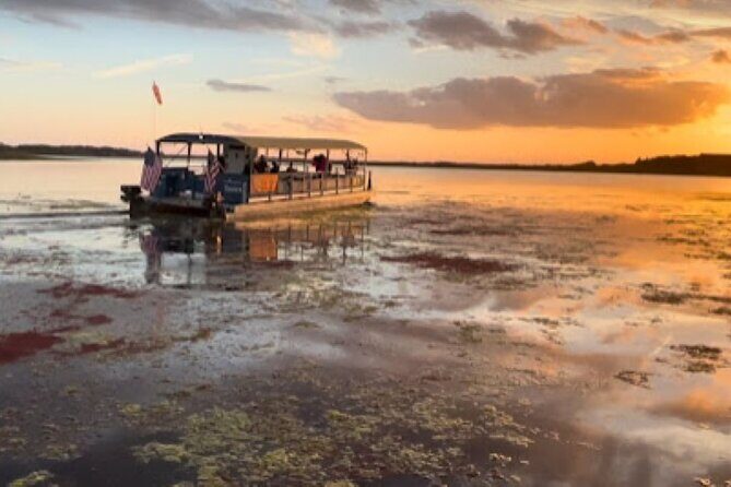 Eco Adventure Scenic Wildlife Boat Cruise - Good To Know