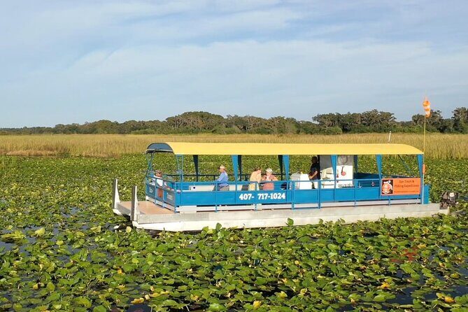 Eco Adventure Scenic Wildlife Boat Cruise - What You Might Miss and How to Maximize Your Experience