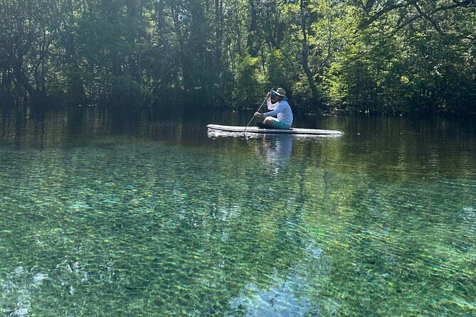 ECO adventure to Cypress Springs by Paddle Board or Kayak - Good To Know