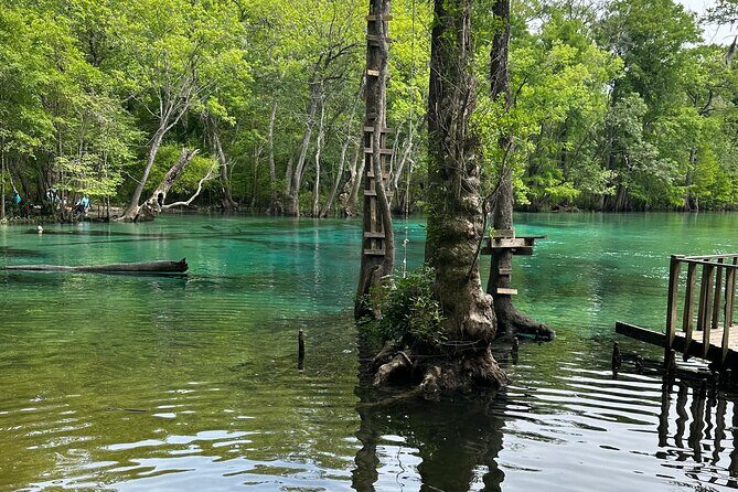 ECO adventure to Cypress Springs by Paddle Board or Kayak - An In-Depth Look at the Cypress Springs Eco Adventure