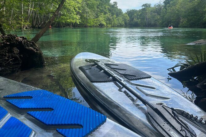ECO adventure to Cypress Springs by Paddle Board or Kayak - Included and Not Included