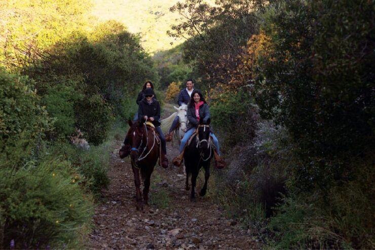Eco Canyon Horseback Riding Excursion - Good To Know