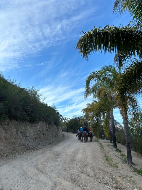 Eco Canyon Horseback Riding Excursion - Experience Highlights