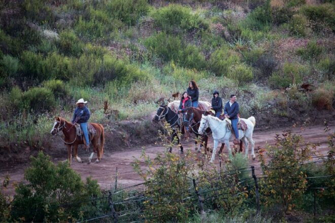 Eco Canyon Horseback Riding Excursion - Itinerary Details