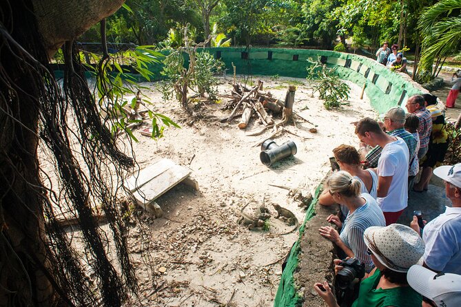 Eco Exploration: Golf Cart Adventure and Catamaran Cruise - Tour Highlights and Itinerary