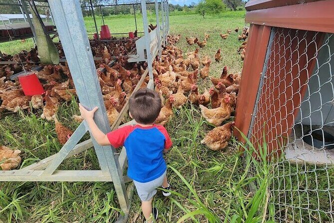 Eco Friendly Farming Tour to Explore Dorado's Most Beautiful Farm - An In-Depth Look at the Farm Experience