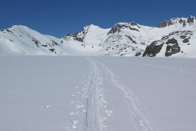 Eco Friendly Snowshoeing in Scenic Landscape - Traveler Photos and Reviews