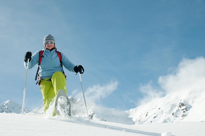 Eco Friendly Snowshoeing in Scenic Landscape - Questions and Assistance