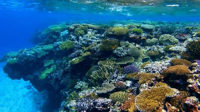 Eco Friendly Village Tour Scenic Ferry & Guided Snorkeling - Timing and practical details to check