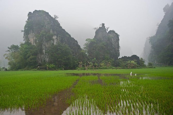 Eco Hoa Lu - Hang Mua Grotto - Trang an Boat Tour From Hanoi - Price and Booking Information