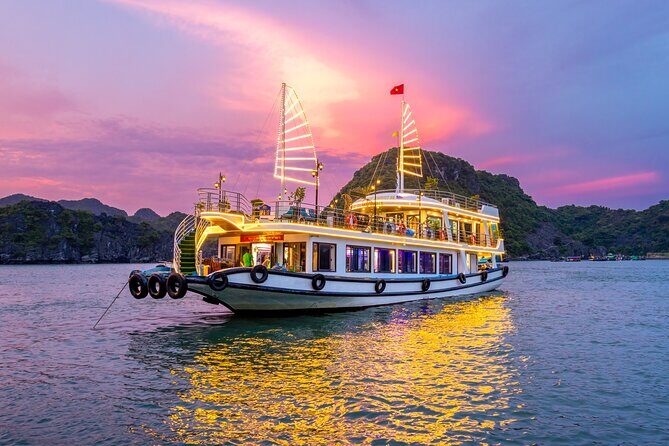 Eco Night Kayak Cruise: Bioluminescent Plankton in Lan Ha Bay - Introducing the Eco Night Kayak Cruise: Bioluminescent Plankton in Lan Ha Bay