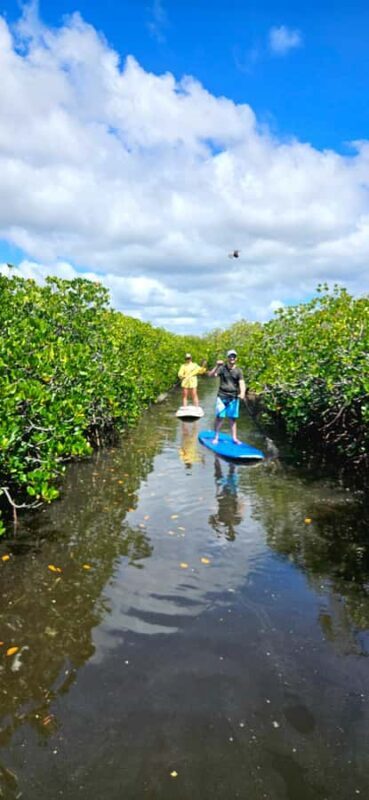 Eco River Adventure - The Sum Up: Who Will Love This?