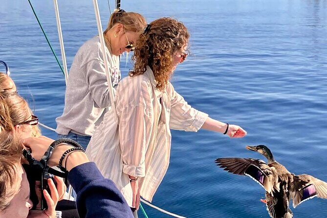 Eco Sailing Tour to Maori Rock Carvings on Lake Taupo - What Reviewers Say