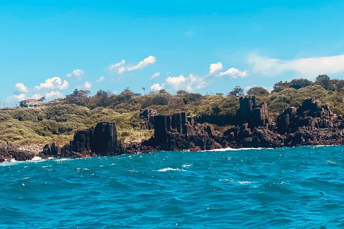 Eco Scenic Cruise - Inclusions