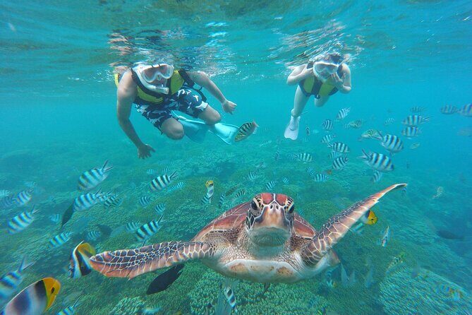 Eco Snokeling in Piti Bay Marine - The Sum Up