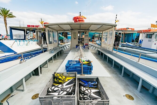 Eco-snorkeling in the Medes Islands - Customer Support and Product Information
