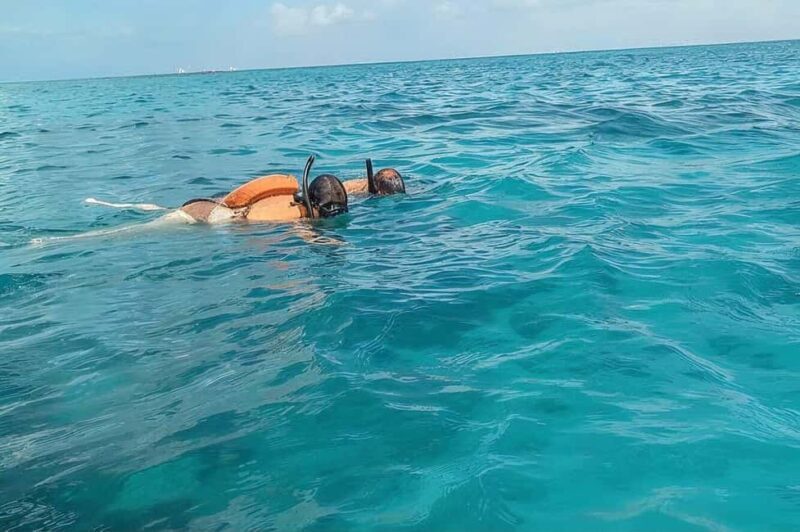 Eco Speedboat Snorkeling Experience from Punta Cana - Good To Know