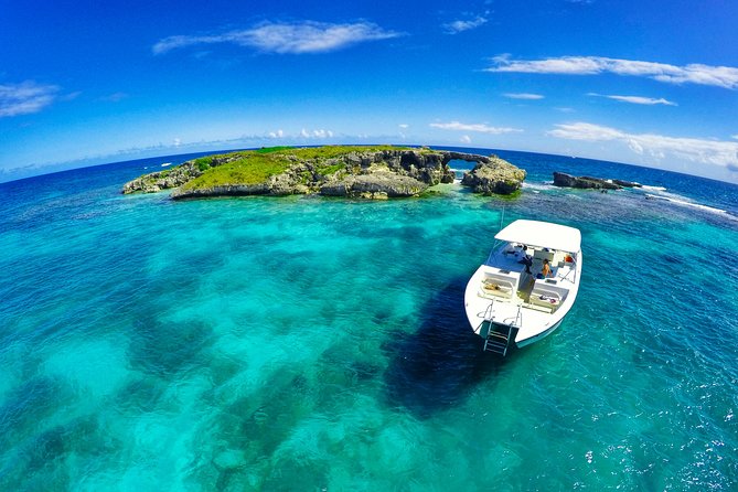 Eco Tour Antigua - Tour Highlights