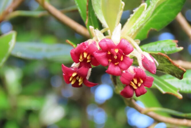 Eco Tour in Auckland - Additional Information