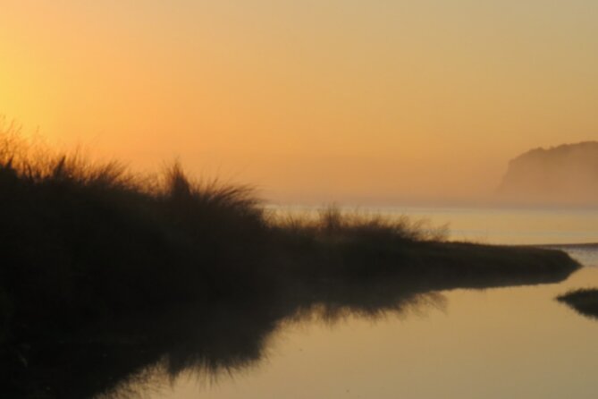 Eco Tour in Auckland - Cancellation Policy