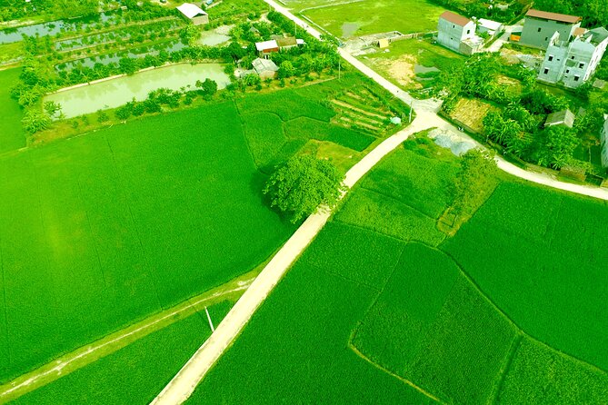 ECO TOUR in Bac Giang - 1 Day Experience as a Farmer - Exploring Local Flora and Fauna
