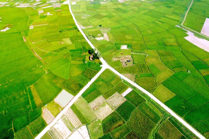 ECO TOUR in Bac Giang - 1 Day Experience as a Farmer - Sustainable Agriculture Practices