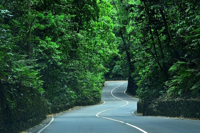Eco-Tour (Konoko Falls & Fern Gully- From Ocho Rios - Eco-Tour Overview