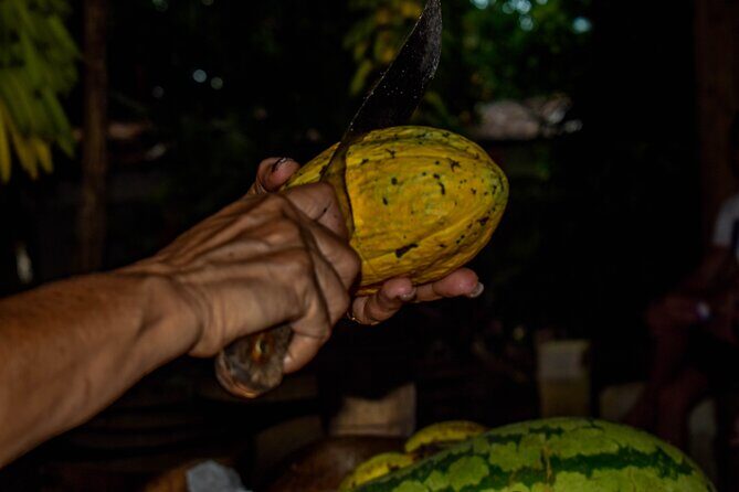 ECO TOUR Playa El Limon (Excursion Multi-activites) - Practical Tips