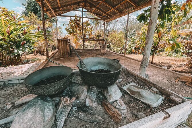 ECO TOUR Playa El Limon (Excursion Multi-activites) - Final Thoughts