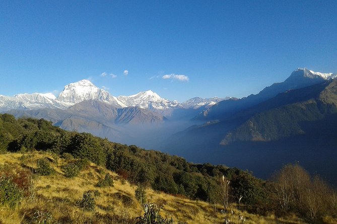 ECO Trek 5 Night 6 Days - Common Questions