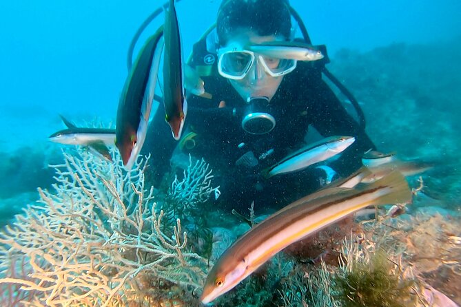 Eco - Try Dive - What Is Eco-Try Dive?
