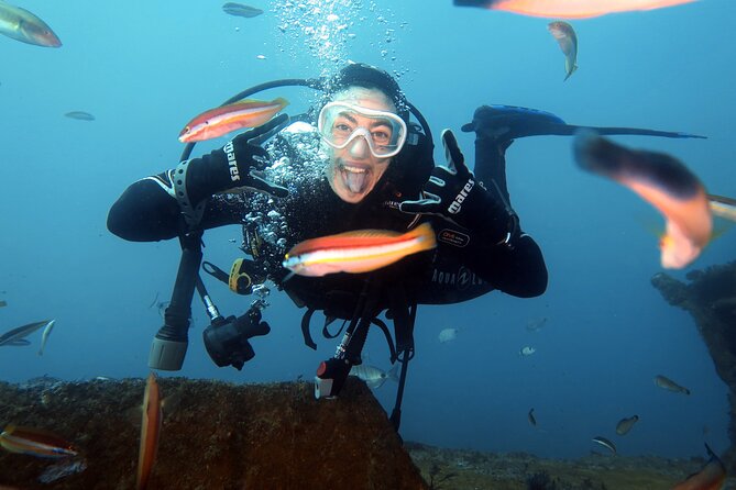 Eco - Try Dive - Benefits of Eco-Try Dive
